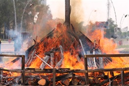 April 29 - Congo Republic burns its entire stockpile of seized ivory